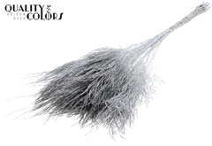 Asparagus Dyed Silver