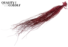 Beargr Dried Bordeaux 60cm