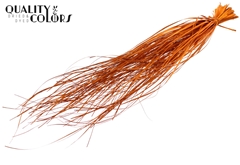 Beargr Dried Orange 60cm