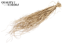 Beargr Dried Ant. Gold 60cm