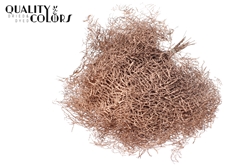 Coralfern Copper