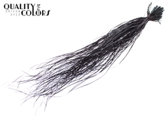 Beargr Dried Black 60cm