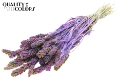 Gierst Bico Milka 60cm 250gram