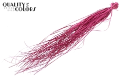 Beargr Dried Fr. Cerise 60cm