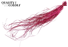 Beargr Dried Cerise 60cm