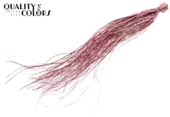Beargr Dried Fr.li.Pink 60cm