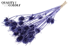 Cardi 10 Metal Purple