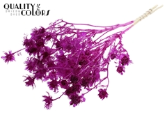 Cartha Bl Lilac 70cm