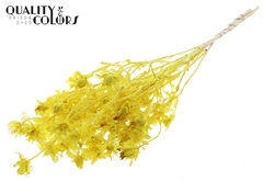 Cartha Bl Yellow 70cm