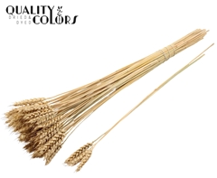 Triticum Tuft Natural 55cm