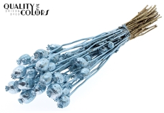 Papaver Metal Blue 60cm 200gram