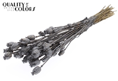 Papaver Metal Da. Gray 60cm 200gram