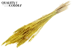 Droogbl Bewerkt H% 60cm 100gram