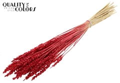Droogbl Bewerkt H% 60cm 100gram