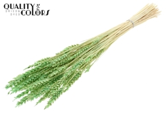 Droogbl Bewerkt H% 60cm 100gram