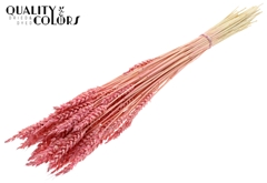Droogbl Bewerkt H% 60cm 100gram