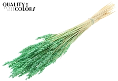 Droogbl Bewerkt H% 60cm 100gram