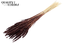 Droogbl Bewerkt H% 60cm 100gram