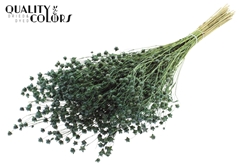 Lino Vlas Li. Green 50cm