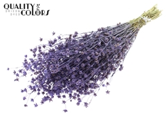 Lino Vlas Milka 50cm