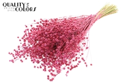 Lino Vlas Cerise 50cm