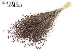 Lino Vlas Brown 50cm
