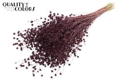 Lino Vlas Bordeaux 50cm