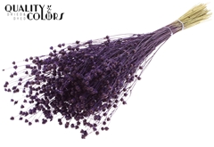 Lino Vlas Purple 50cm