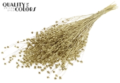 Lino Vlas Gold+glit 50cm