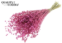 Lino Vlas Fr Cerise 50cm