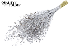 Lino Vlas Silver 50cm