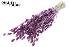Phalaris Metal Pink+Glit 60cm 220gram