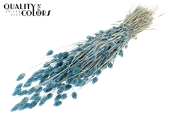 Phalaris Pearl Li. Blue 60cm 220gram