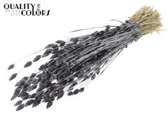 Phalaris Metal Da. Gray 60cm 220gram