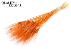 Droogbl Bewerkt H% 70cm 150gram