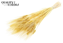 Droogbl Bewerkt H% 70cm 150gram