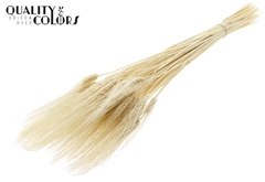 Droogbl Bewerkt H% 70cm 150gram