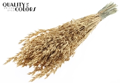 Avena Ant. Gold+Glit 60cm 250gram