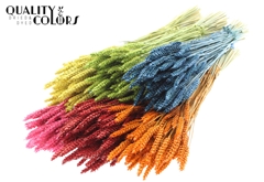 Droogbl Bewerkt H% 60cm 220gram