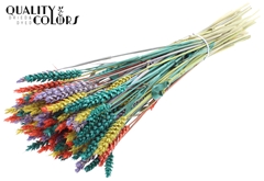 Droogbl Bewerkt H% 60cm 220gram