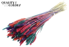 Droogbl Bewerkt H% 60cm 220gram