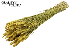 Droogbl Bewerkt H% 60cm 220gram
