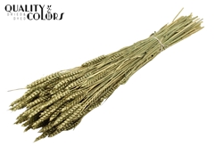 Droogbl Bewerkt H% 60cm 220gram