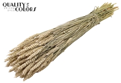 Droogbl Bewerkt H% 60cm 220gram