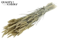 Droogbl Bewerkt H% 60cm 220gram