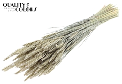Droogbl Bewerkt H% 60cm 220gram