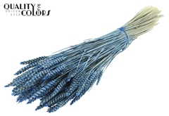 Droogbl Bewerkt H% 60cm 220gram