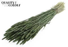 Droogbl Bewerkt H% 60cm 220gram