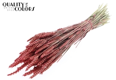 Droogbl Bewerkt H% 60cm 220gram
