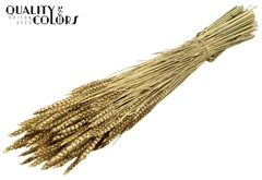 Droogbl Bewerkt H% 60cm 220gram